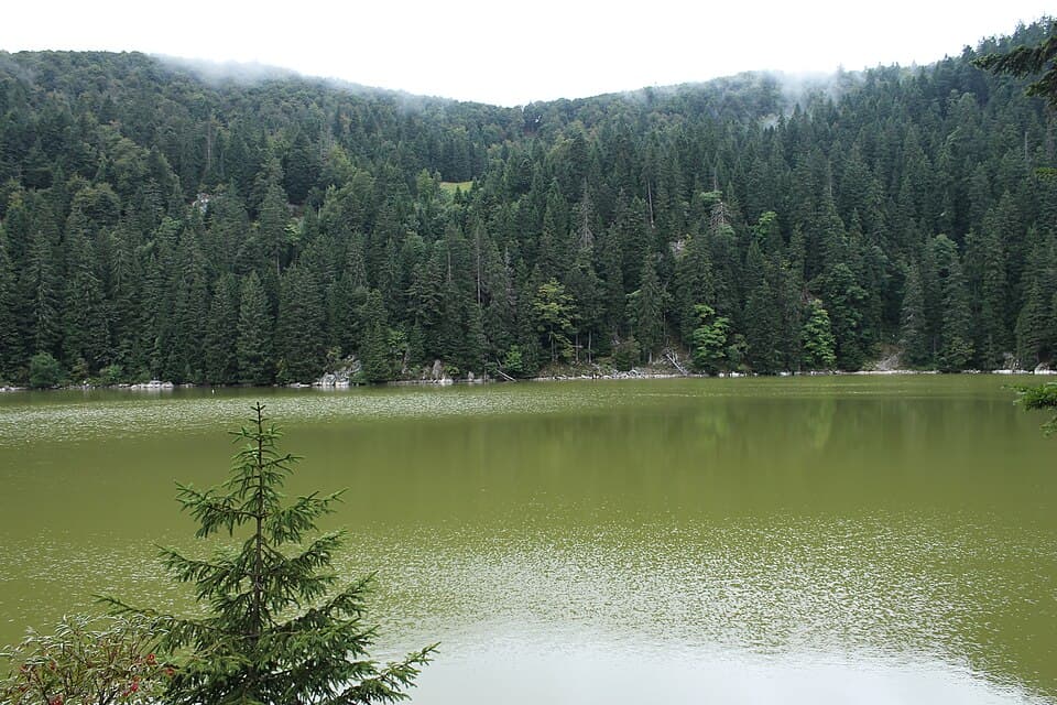 Vue par @mountain_goat