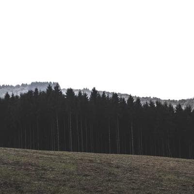 Vue par @sunset_lover