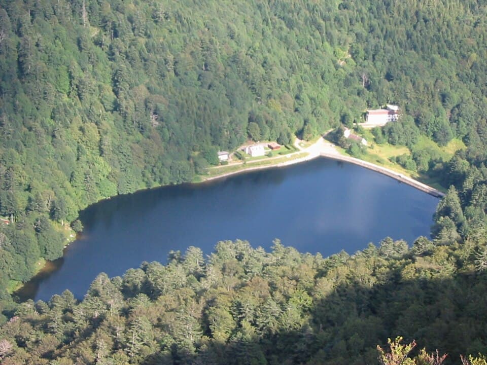 Vue par @massif_des_vosges