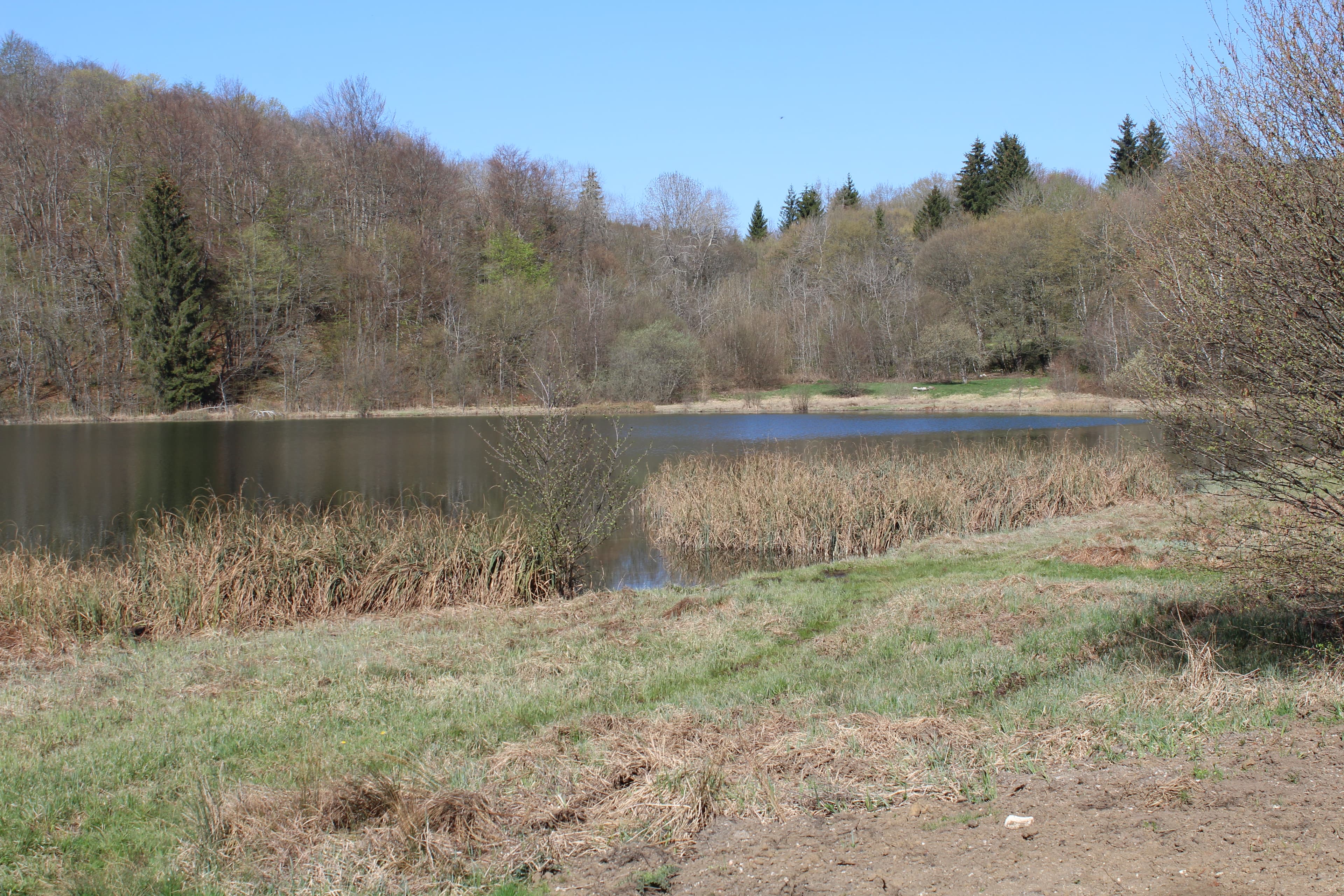 Lac d'Ambléon