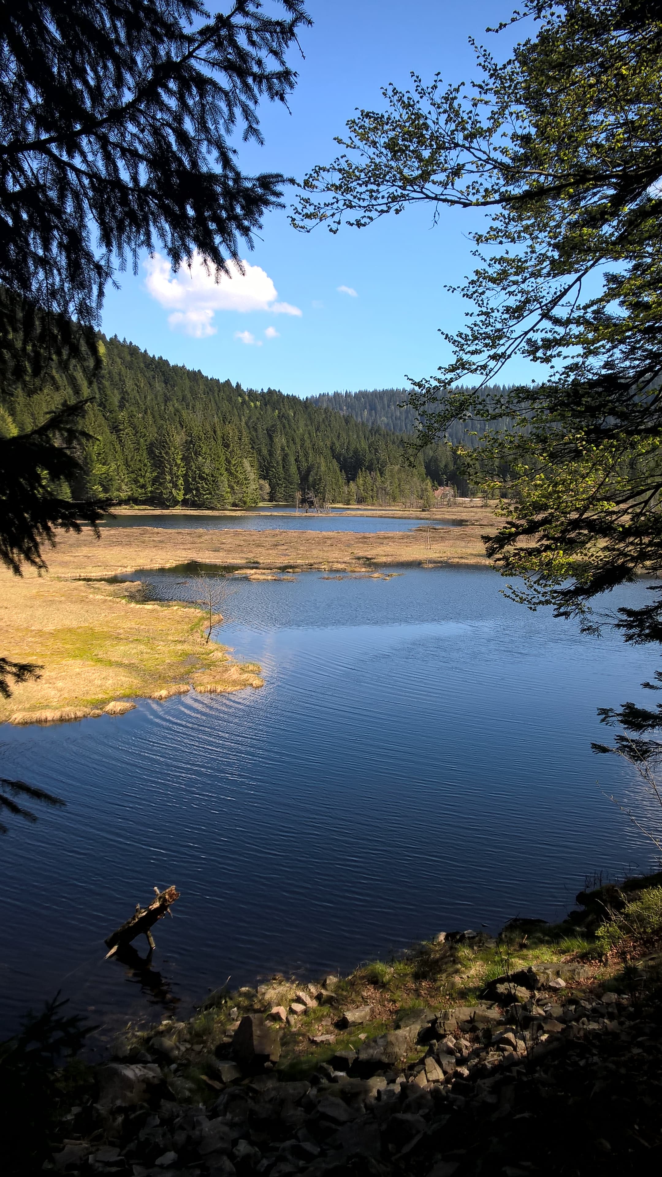 Lac de Lispach