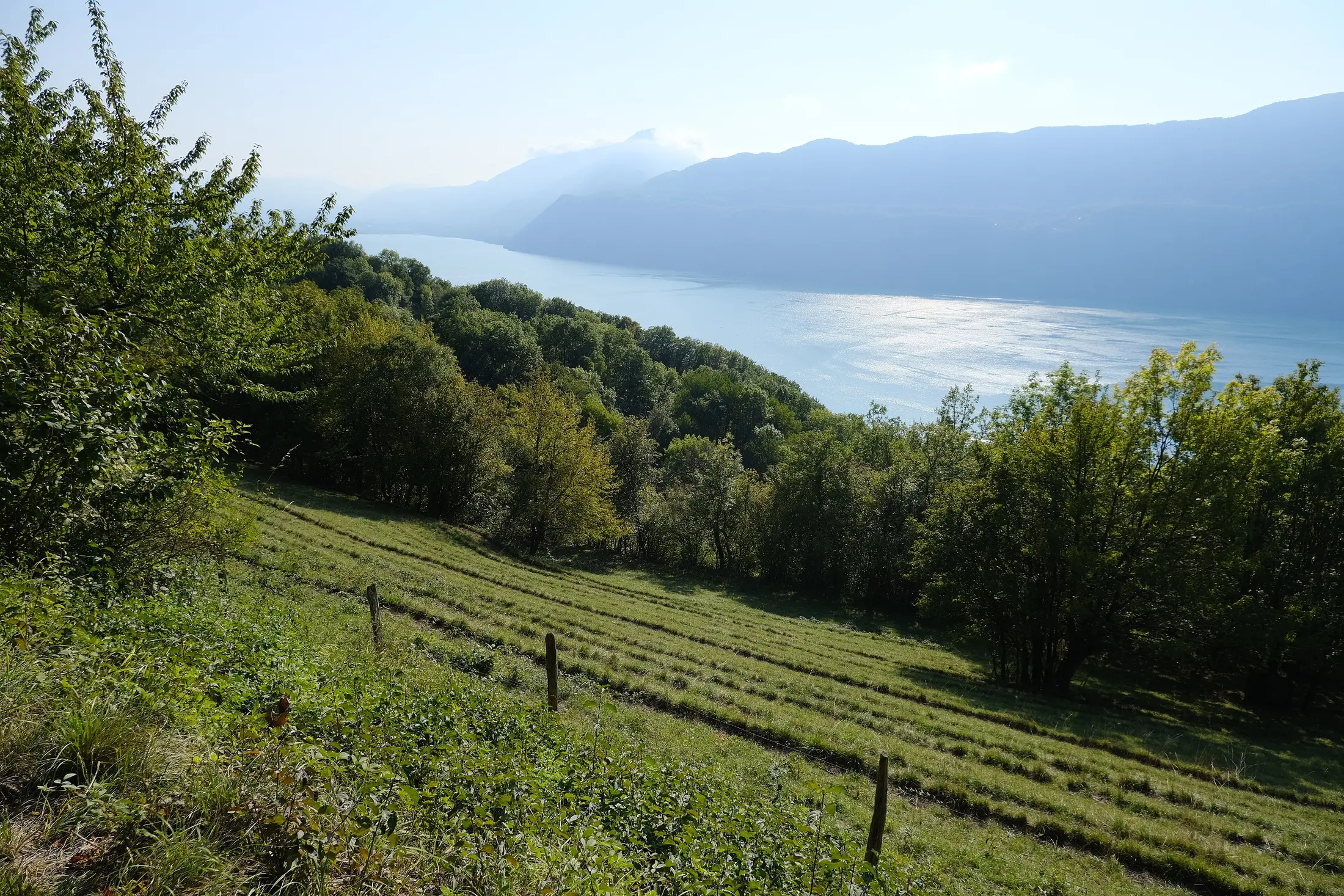 Vue du lac du Bourget depuis les hauteurs de Brison-Saint-Innocent