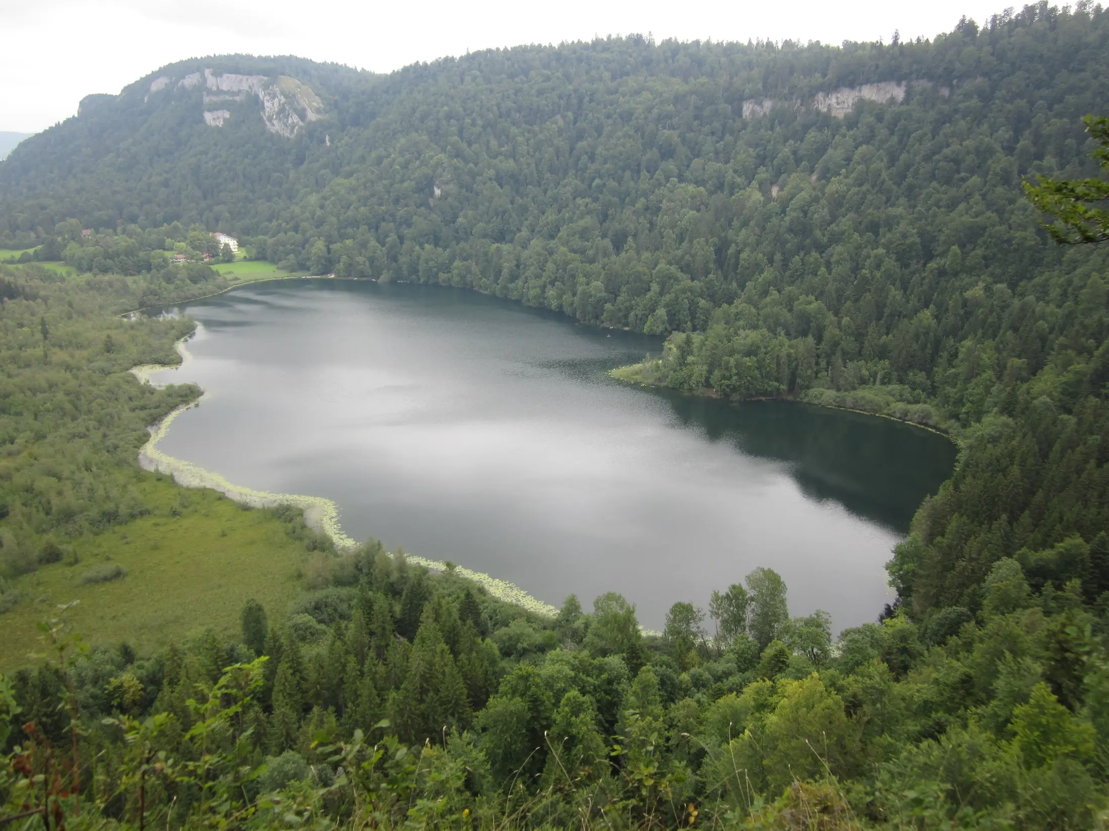 Vue d’ensemble du lac de Bonlieu entouré par la forêt jurassienne