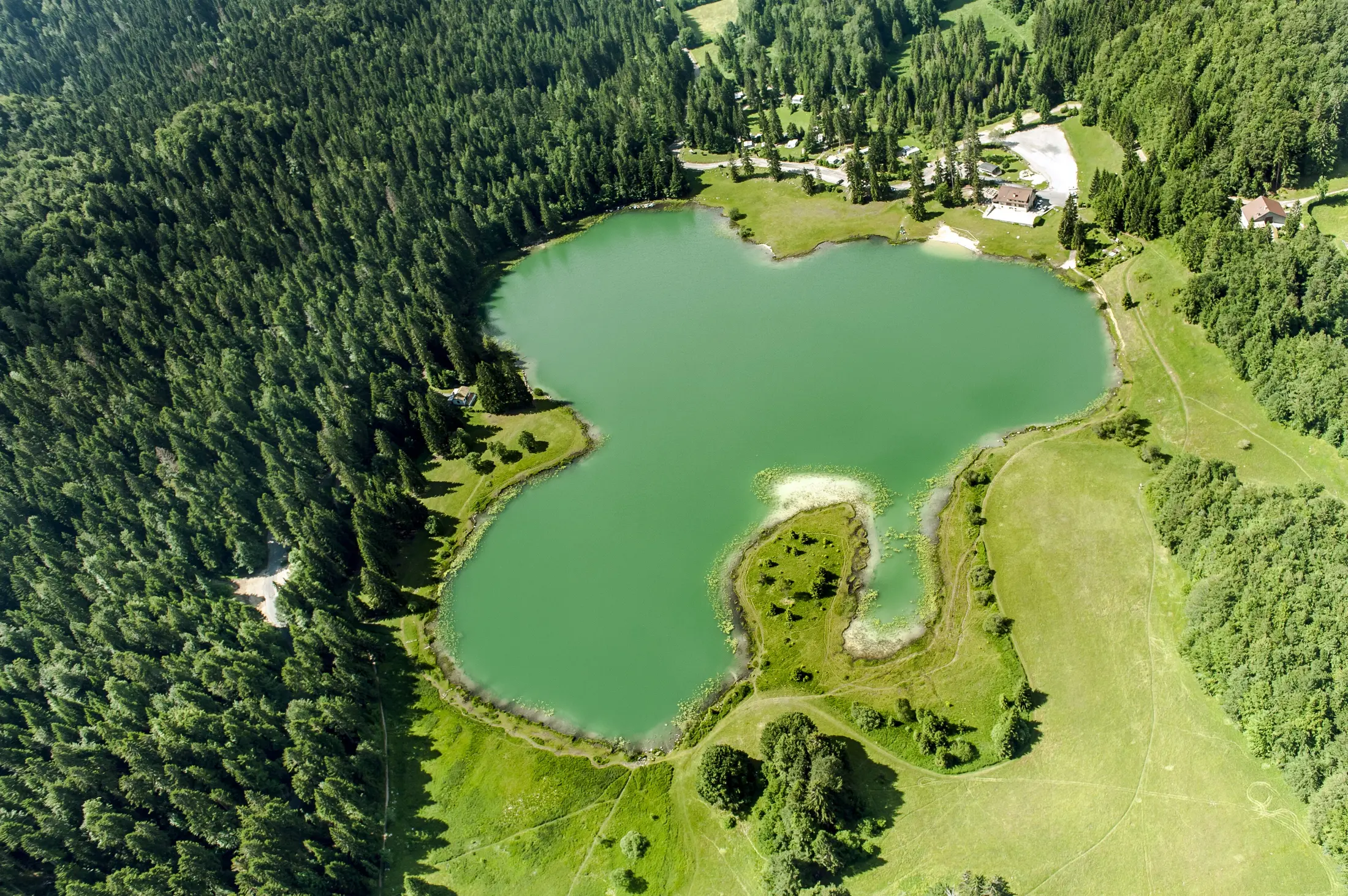 Vue aérienne du lac Genin au milieu des forêts du Haut-Bugey